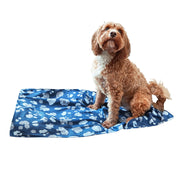 dock and bay dog towels