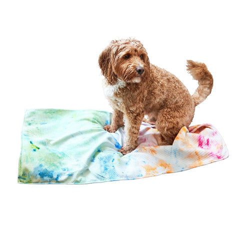 dock and bay dog towels