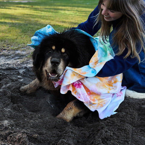 dock and bay dog towels