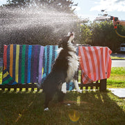 Dog & Bay - Towels for Pets - Canine Coral - Outlet