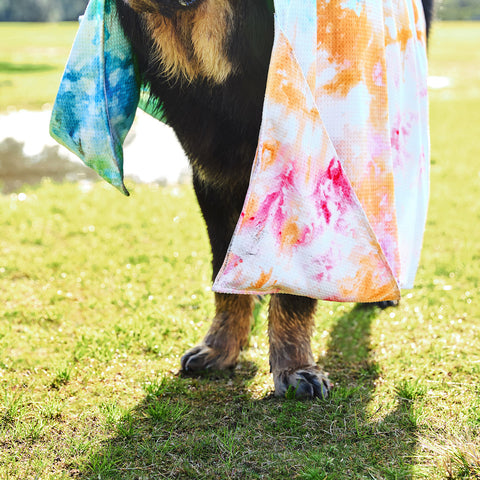 dock and bay towels dog