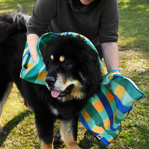 dock and bay dog towels